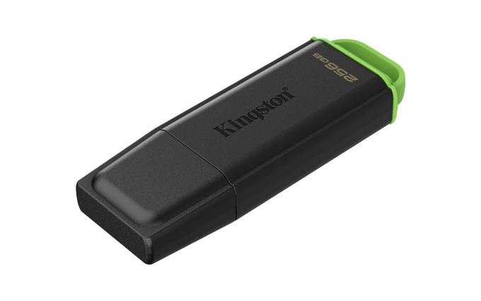 Kingston DTXG2/256GB