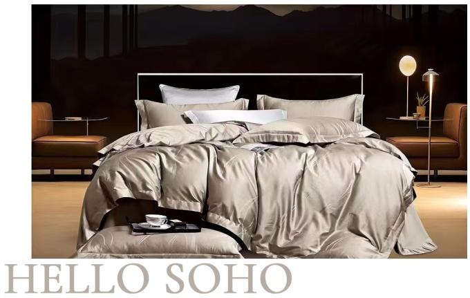 SOHO A130112