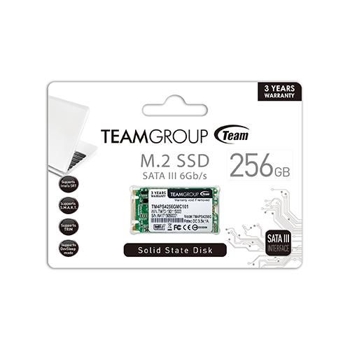 Накопитель SSD Team TM4PS4256GMC101