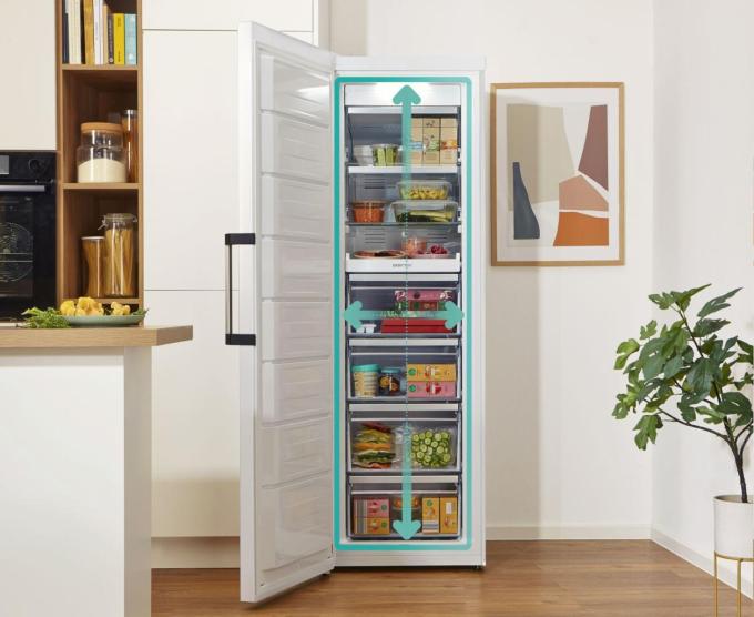 Gorenje FN619EAW6