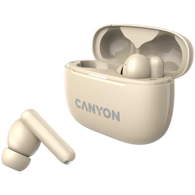 Canyon CNS-TWS10BG