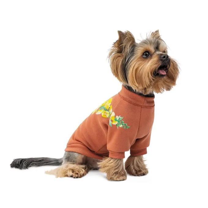 Pet Fashion 4823082434725