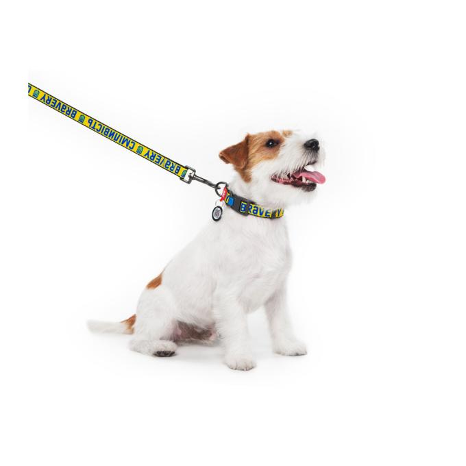 WAUDOG 284-0231