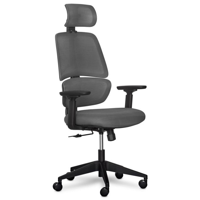 Mealux Y-543 KBG
