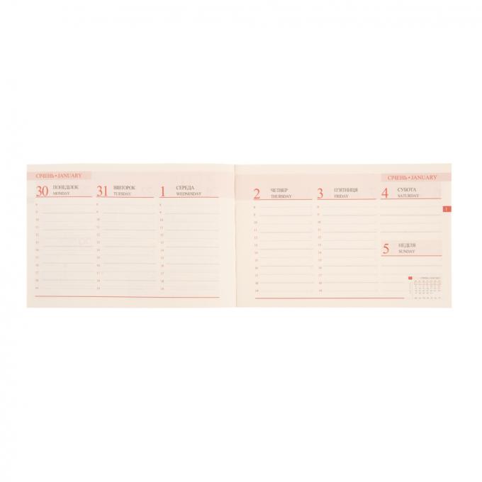 Leo planner 252570