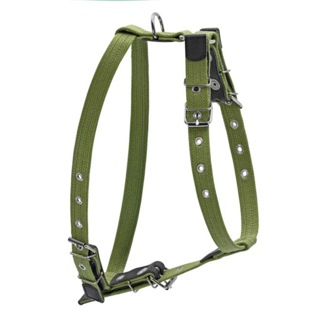 Collar 0645