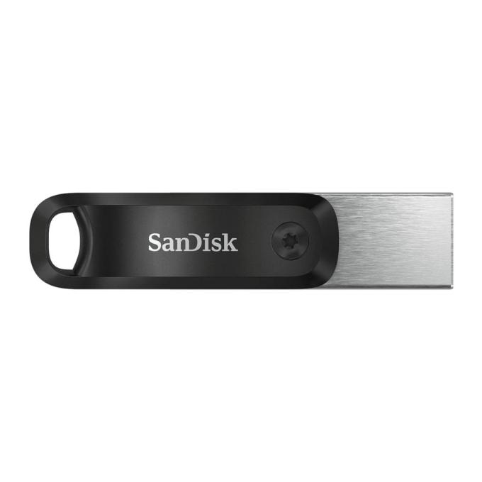 SANDISK SDIX60N-256G-GN6NE