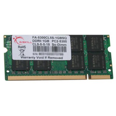 Модуль памяти G.Skill FA-5300CL5S-1GBSQ