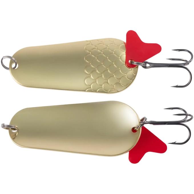 X-Fish 1917.04.49
