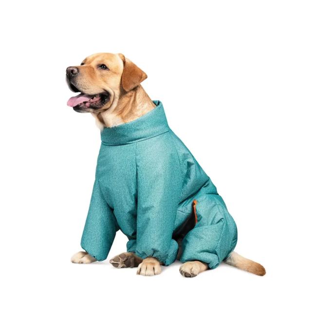 Pet Fashion 4823082425365