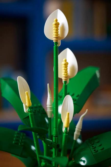 LEGO 11504