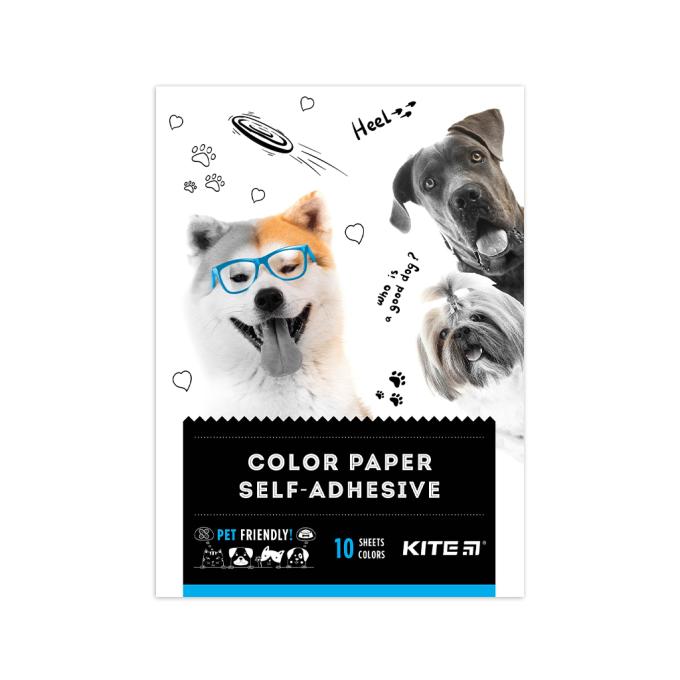 Kite K22-294