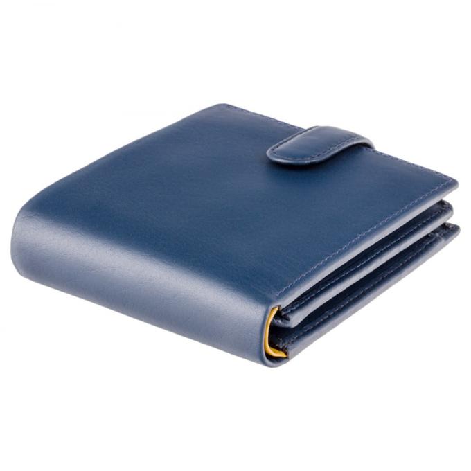 Visconti PM102 BLUE/MUST