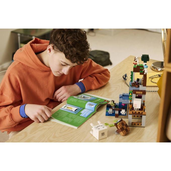 LEGO 21597