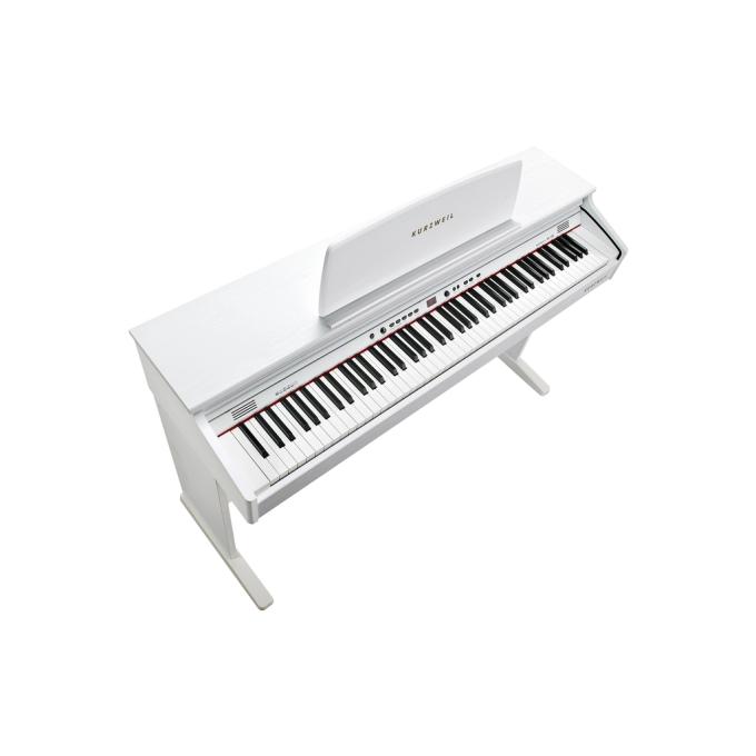 Kurzweil 283886