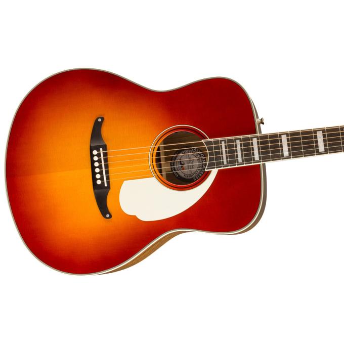 Fender 234856