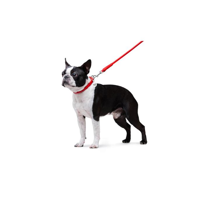 WAUDOG 33773