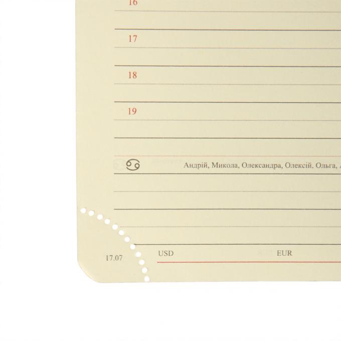 Leo planner 252666