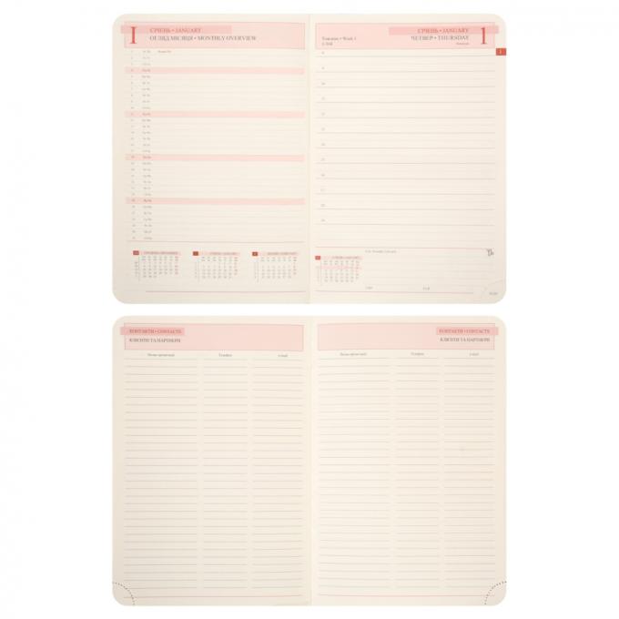 Leo planner 252634