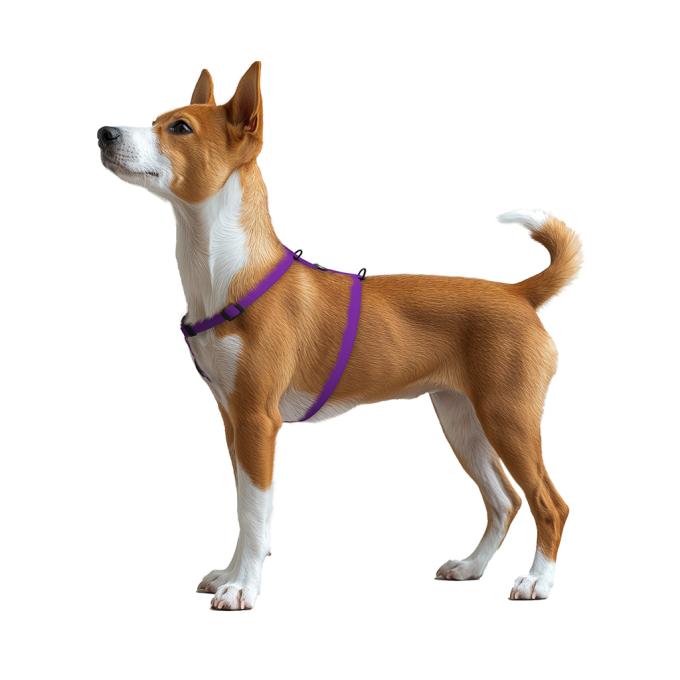 WAUDOG 26229