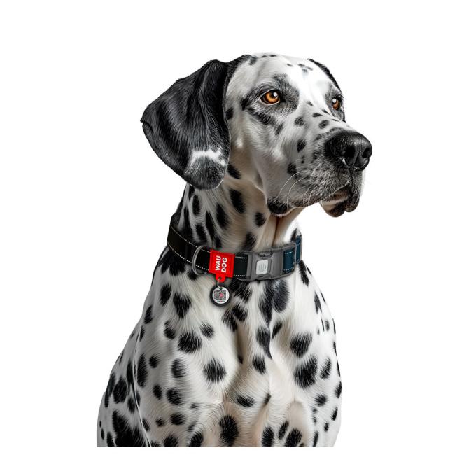 WAUDOG 52091