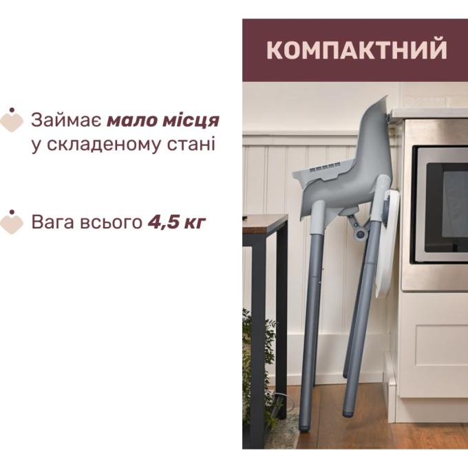 Chicco 87170.77