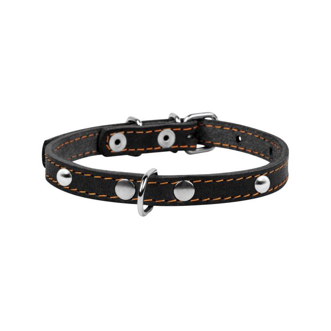 Collar 00231