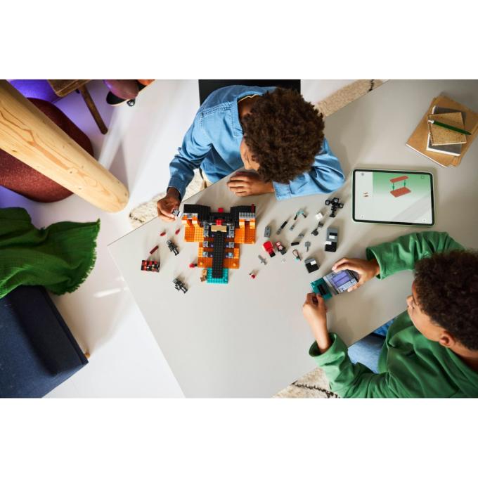 LEGO 21590-