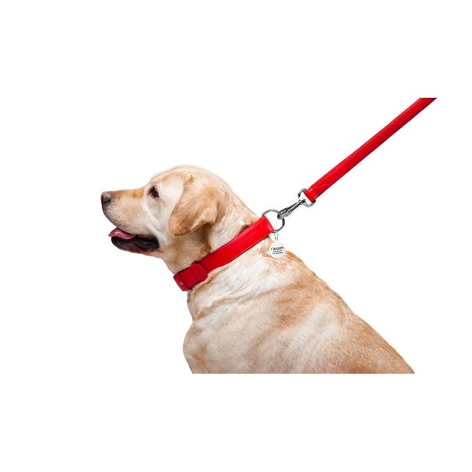WAUDOG 33763