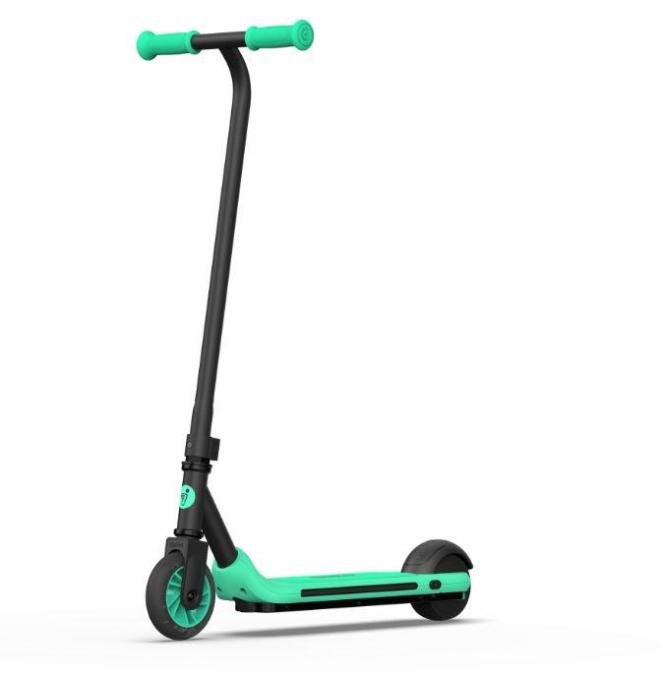 Segway-Ninebot AA.00.0011.62