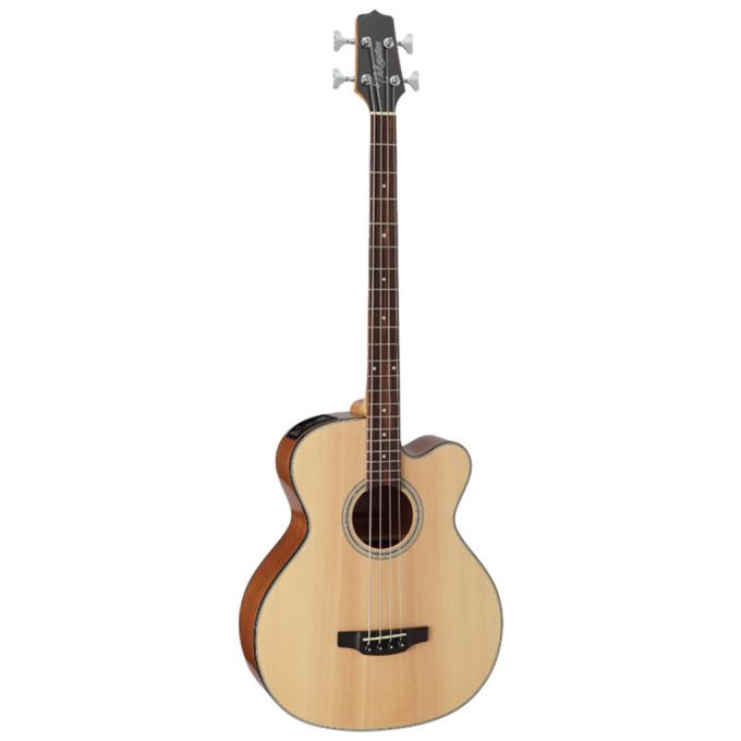 Takamine 234764