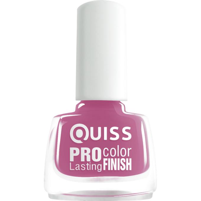 Quiss 4823082013562