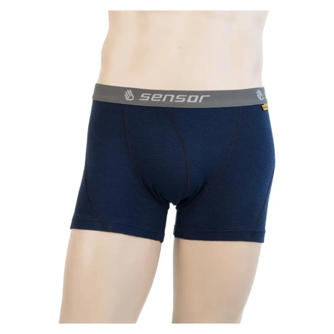 Sensor SM21M-deepblue-L
