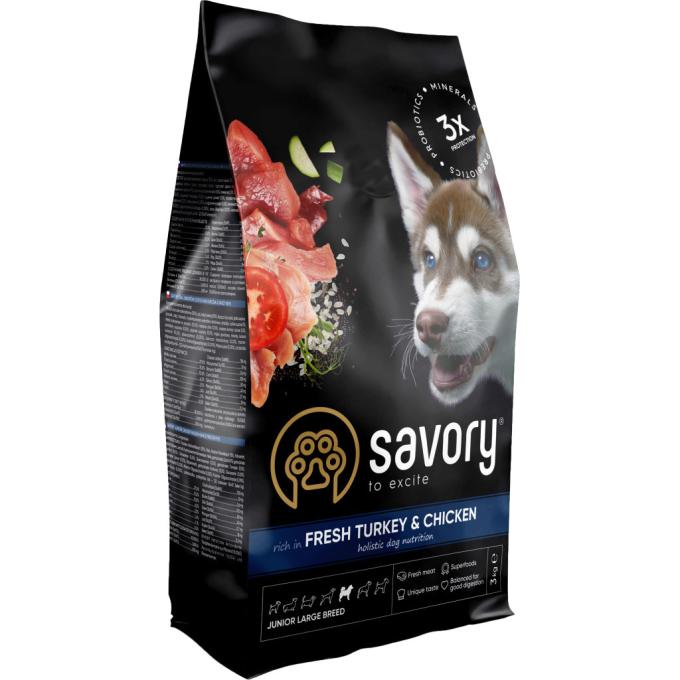 Savory 4820232630204