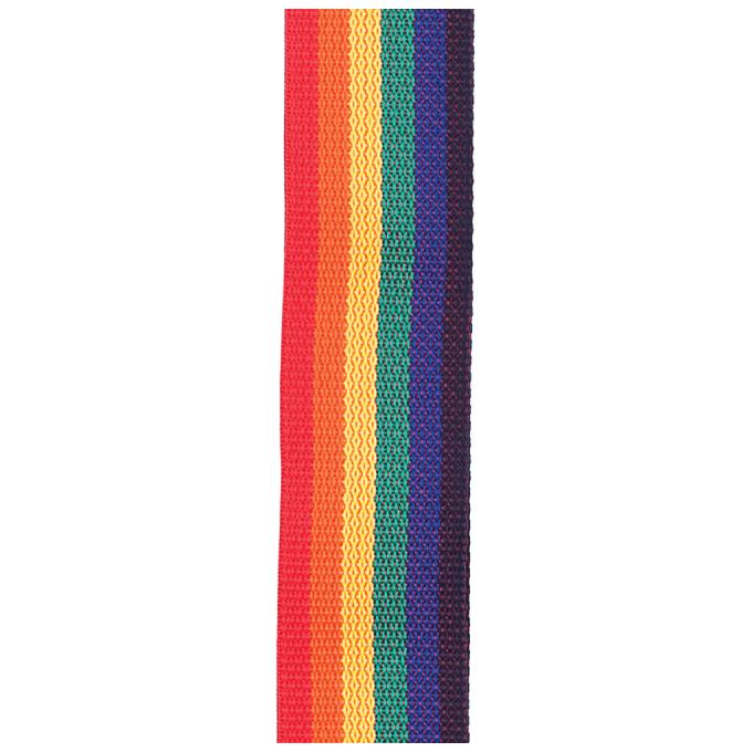D'Addario PWS111