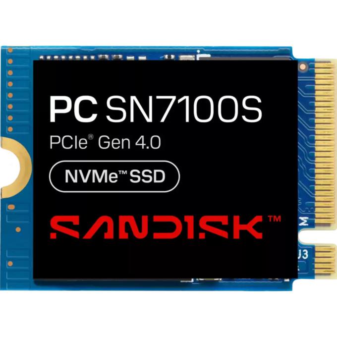 SANDISK SDFPTSK-256G