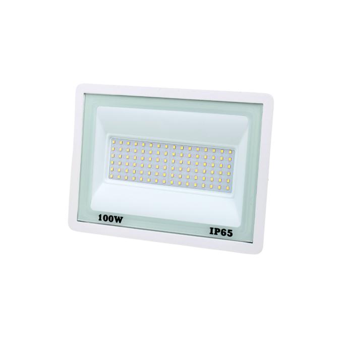 Lightwell LW-FL-W-100 100 W