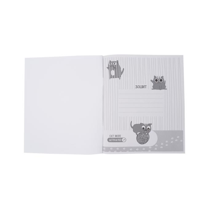 Kite K23-240-22