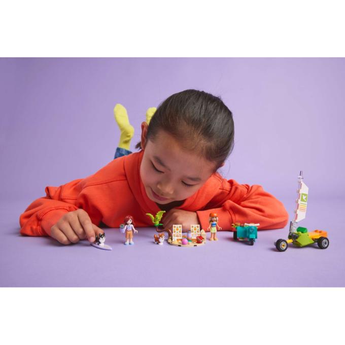 LEGO 42641