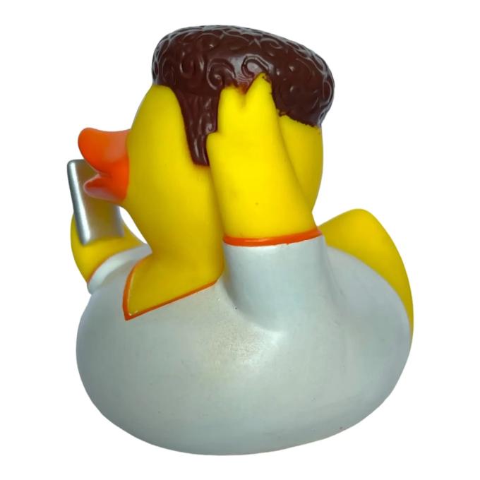 Funny Ducks 1330