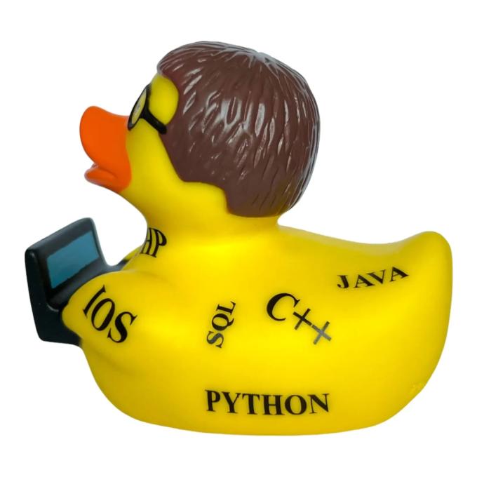 Funny Ducks 1333