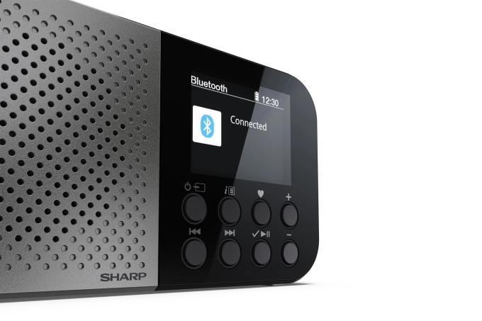 SHARP DR-P520(GY)