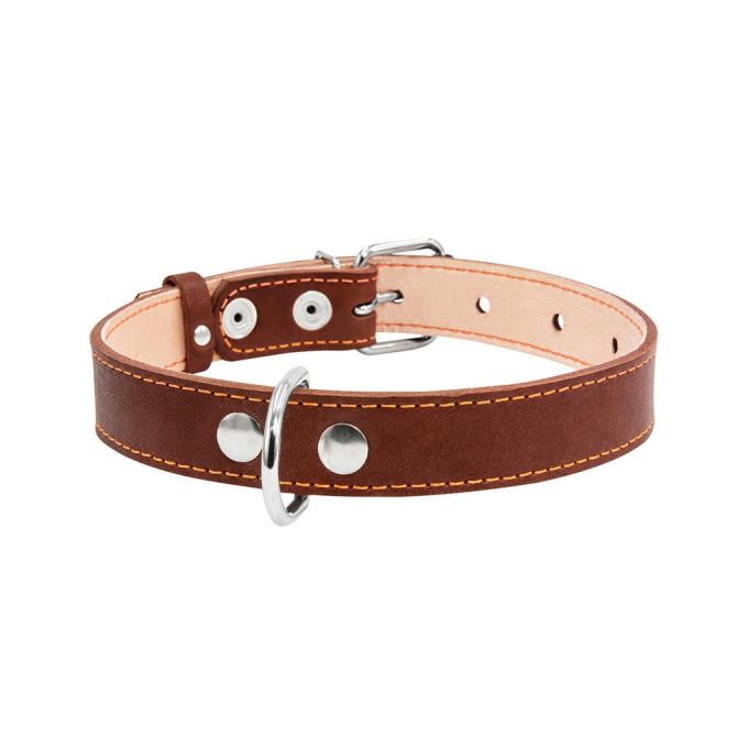 Collar 02296