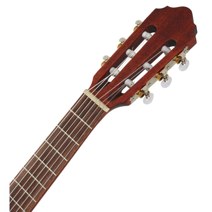 Cort AC50 OP w/bag