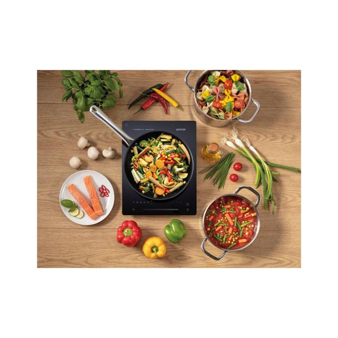 Gorenje 740205