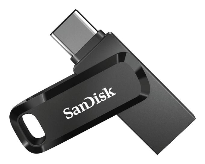 SANDISK SDDDC3-256G-G46