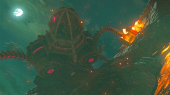 Nintendo 045496420055