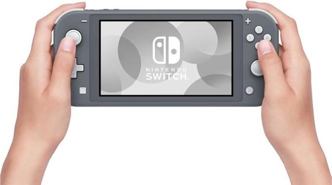 Nintendo Switch Lite HDH-001 Gray_JP