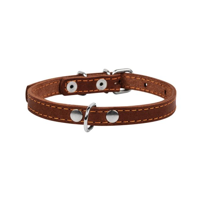 Collar 00036