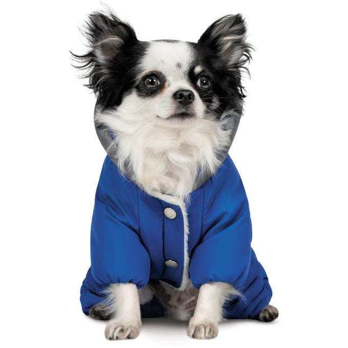 Pet Fashion 4823082432400